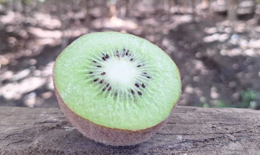 RIOblanco kiwis