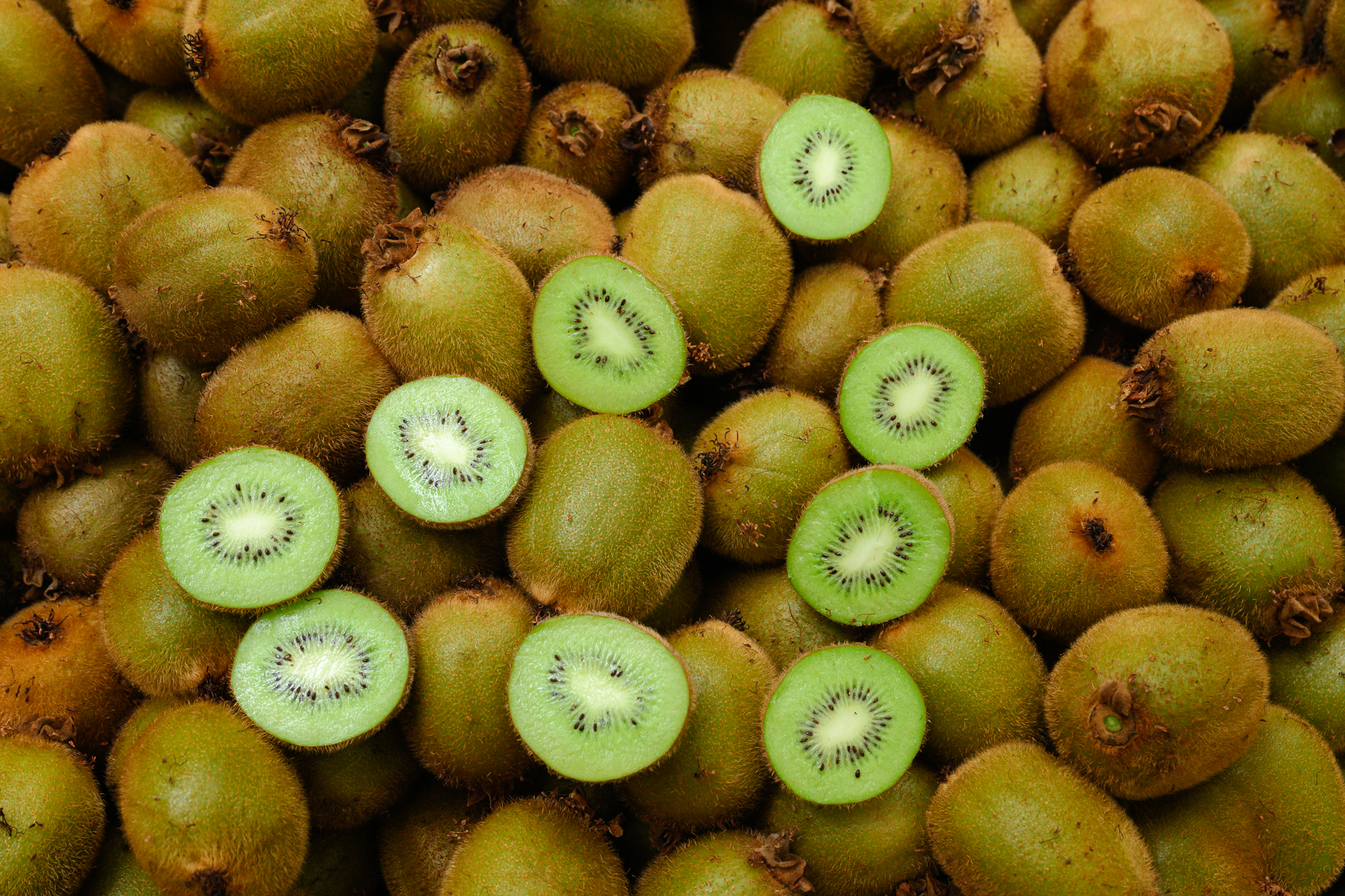 Del campo al mundo: el viaje del kiwi chileno 🥝
