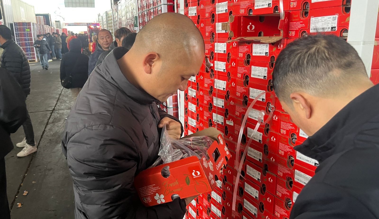 RIOblanco in China: On-site support for the arrival of our cherries